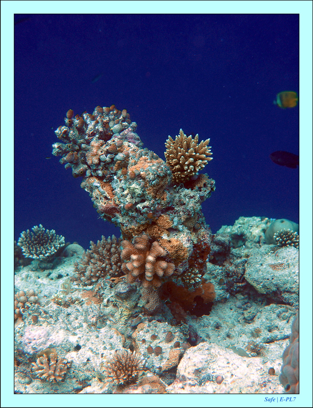 2023 - 07 - Sandies Bathala - 218